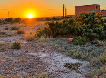 Terreno , Viedma · Terreno en Venta en Antonio Berni 1322 – Viedma