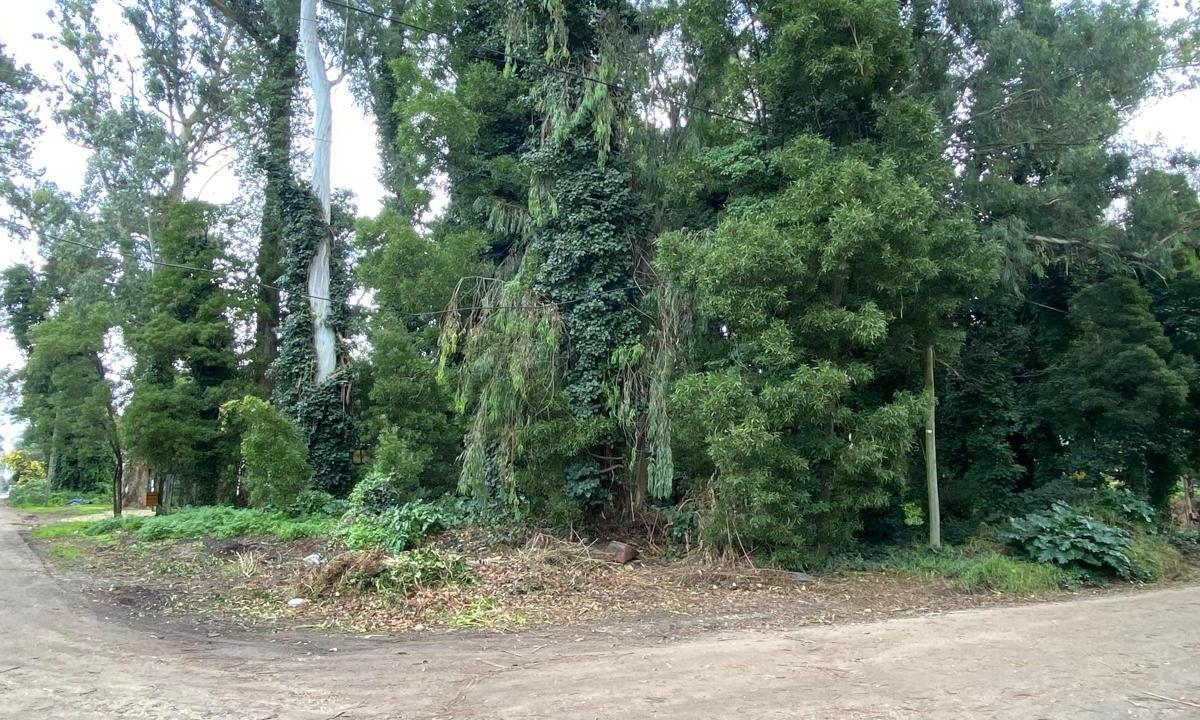 Lote de 900 m² en Bosque Peralta Ramos