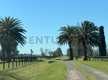 Terreno · 14268m² · Lote de 1,4 Ha a La Venta en Santa Maria de Lobos Polo.