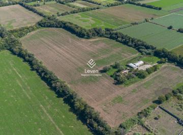 Campo · 18ha · Venta 18 Hectáreas Camino San Carlos Km8