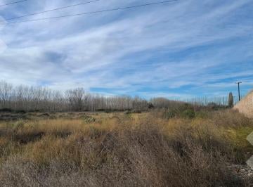 Terreno · 2ha · En Venta | 2,31 Ha | Sobre Ruta 22 | Plottier