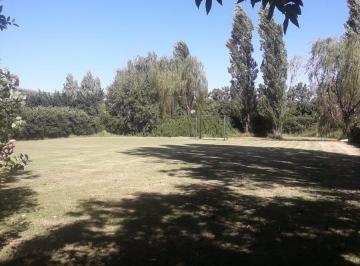 Terreno · 1500m² · Terreno de 1500 m. en Tortugas C. C.