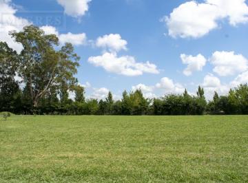 Terreno · 1350m² · Lote Perimetral a Calle Interna del Barrio en Las Casuarinas del Pilar