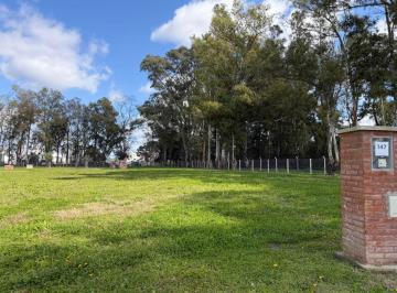 Terreno · 507m² · Lote Central Barrio Santa Sofia Pilar del Este