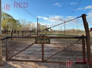 Terreno · 2600m² · Terreno en Loteo Agro - Turístico, Senillosa