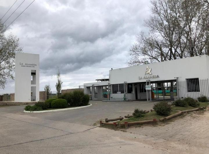 Terreno