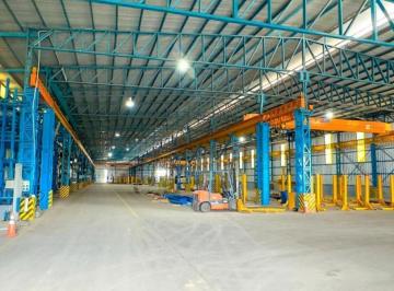 Bodega-Galpón · 5000m² · 8 Ambientes · Galpón en Alvear