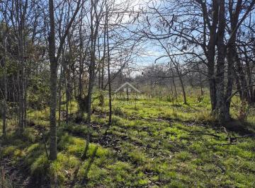 Campo · 56333m² · Terreno Campo en Venta en Open Door, Luján, G. B. a. Zona Oeste