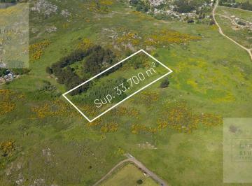 Terreno · 3ha · Terreno en Venta en Tandil La Elena