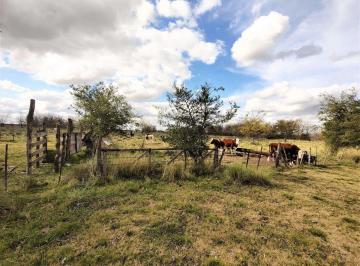 Campo · 44ha · Venta Campo Mixto Marcos Paz 43 Ha