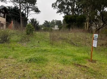 Terreno · 600m² · Terreno en Las Gaviotas