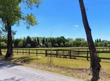 Terreno · 5000m² · Venta Terreno 5000 m² en Haras El Malacate. Exaltacion de La Cruz