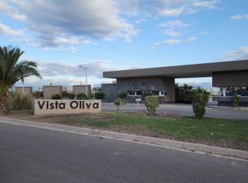 Terreno , Coquimbito · Lote Central en Venta - Vista Oliva - Maipu