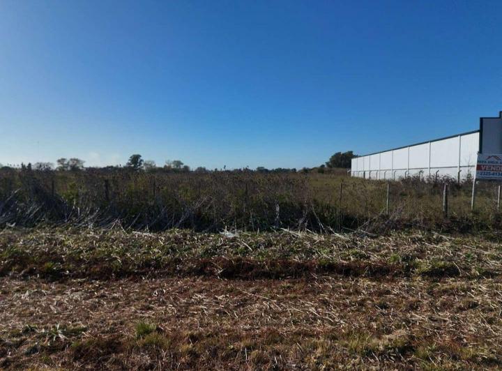 Terreno · 6000m²