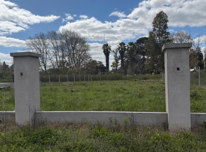 Terreno · 1000m²