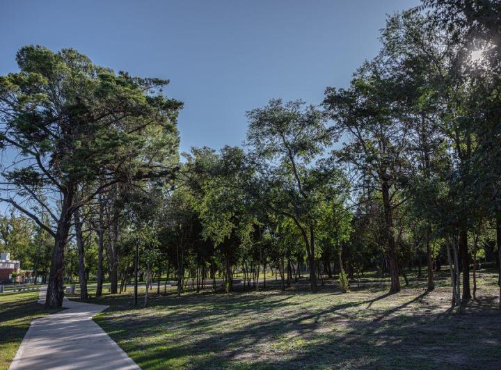 Terreno · 250m²
