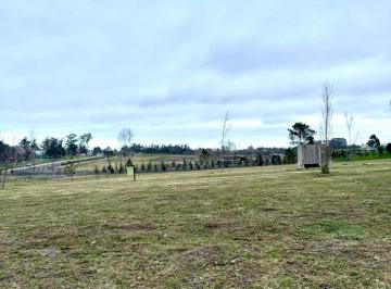 Terreno · 1012m² · Venta Terreno en Olivos de Los Horneros Etapa 3
