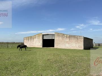 Bodega-Galpón · 400m² · 1 Ambiente · Galpón en Calle, Ruta 205, Km 74.500