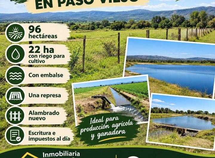 Terreno · 96ha