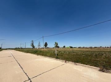 Terreno · 300m² · Terreno en Venta en Loteo Tierra Nueva