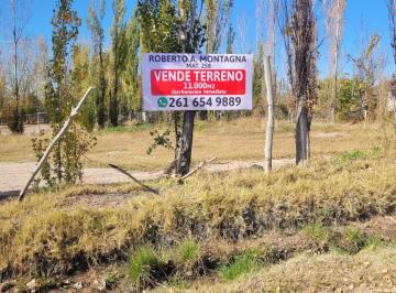 Terreno , Lunlunta · Vendo Terreno Una Hectárea Lunlunta Maipu Mendoza