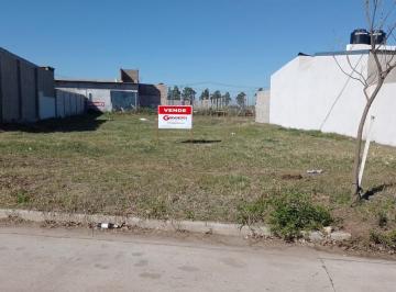 Terreno · 302m² · Loteo Tierra Nueva