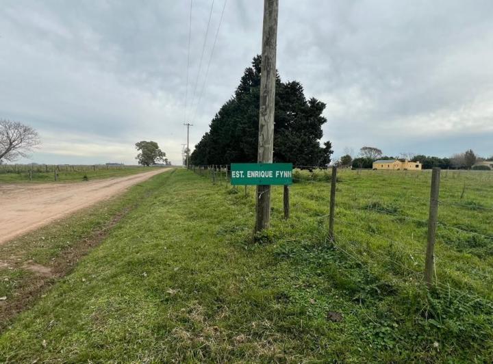 Campo · 95ha