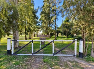 Campo · 220m² · 7 Ambientes · Campo en Venta en Máximo Paz Cañuelas