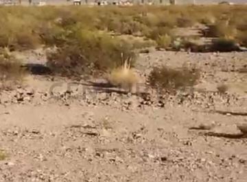 Terreno · 2000m² · Gran Terreno en Venta en Uspallata, Mendoza
