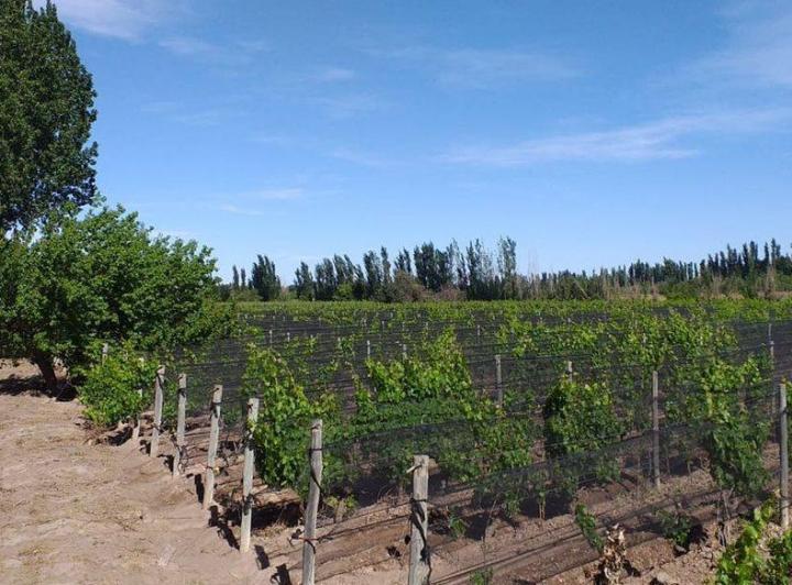 Terreno · 70000m²