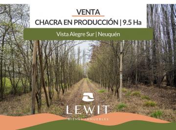 Campo · 95000ha · 7 Ambientes · Venta Chacra 9.5 Hectáreas | Vista Alegre Sur | en Producción | Gas Natural | Electricidad Trifásica