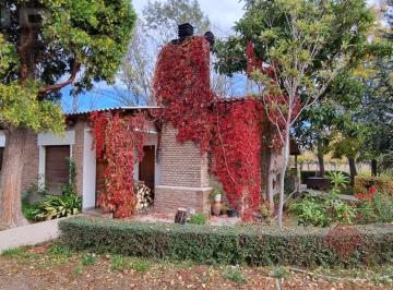 Campo · 125000ha · 6 Ambientes · 2 Cocheras · Chacra de 12 Ha en Venta Allen