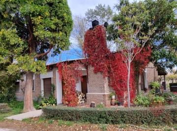 Campo · 125000ha · 6 Ambientes · 2 Cocheras · Chacra de 12 Ha en Venta Allen