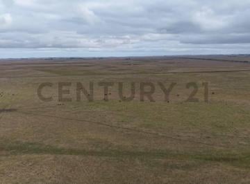 Campo · 1m² · 1 Cochera · Venta Campo General Piran 780 Ha