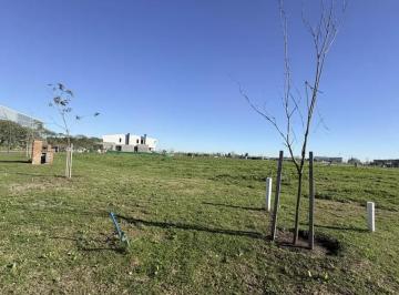 Terreno · 547m² · Terreno en Venta - - 547 m - Tigre
