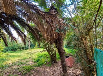 Terreno · 650m² · Lote en Venta en Villa Elisa
