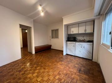 Departamento · 31m² · 2 Ambientes · Alquiler Palermo Botánico 2 Ambientes Apto Profesional