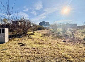 Terreno · 452m² · Terreno en Venta Colina de La Deseada Central