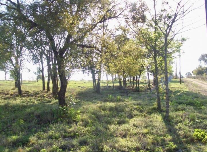 Terreno · 1019m²