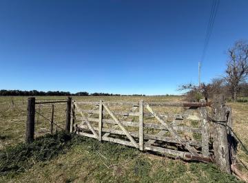 Campo · 721782m² · Campo en Venta General Rodriguez
