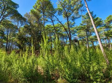 Terreno · 1283m² · Venta Lote Terreno Carilo Pinamar Oportunidad Permuta Financiamiento