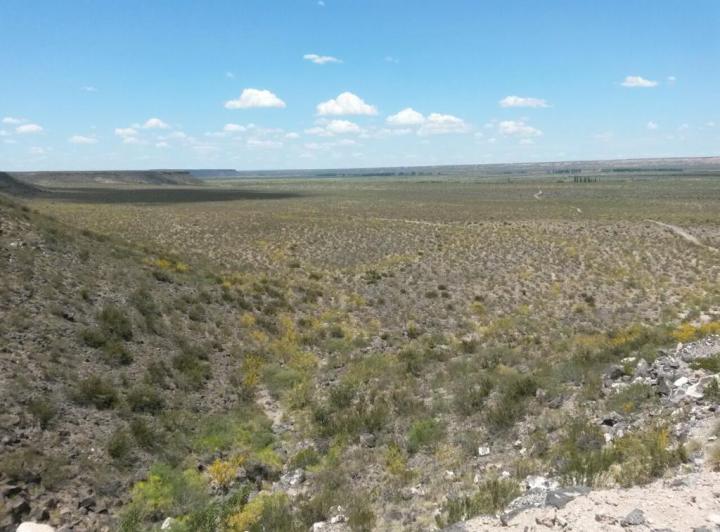 Campo · 540ha