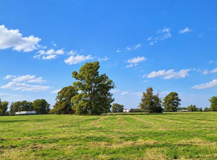 Terreno · 16700m²