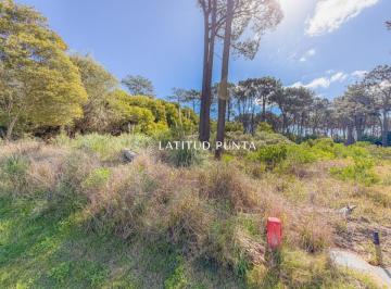 Foto1 · Terreno en Reserva Montoya