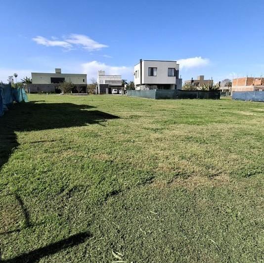 Terreno