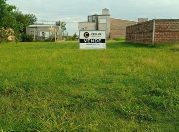 CRI-CRI-83630_2 · Lote en Venta Pujato