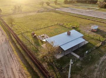 CRI-CRI-83711_2 · Lote. | Los Colonizadores