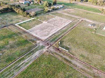 CRI-CRI-83760_2 · Lote. | Los Colonizadores