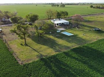 CRI-CRI-83823_2 · Campo. | Humboldt