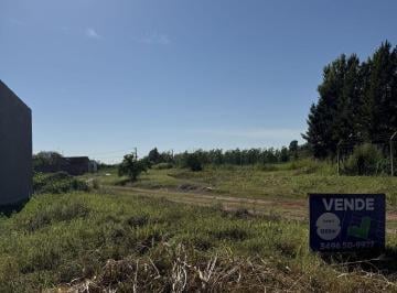 CRI-CRI-83842_2 · Lote. | Rivadavia